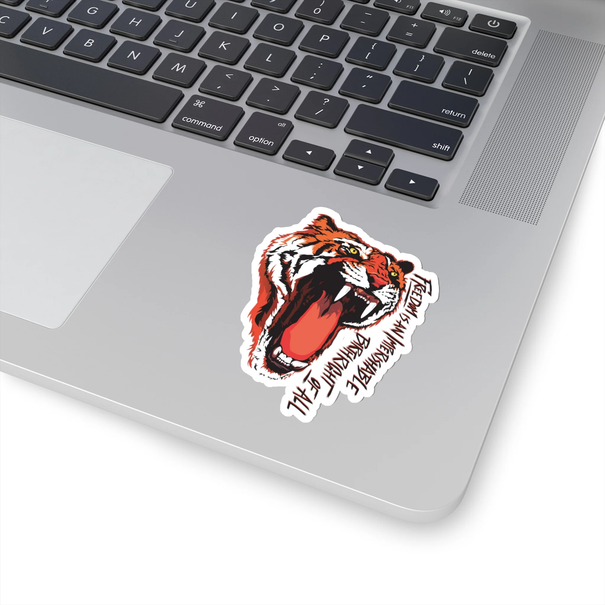 Bhagat Singh Freedom - Decal Sticker - Image 3